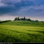 Una collina circondata dal grano