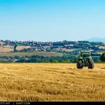 Campagna maceratese d'estate