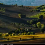 Campagna maceratese d'estate