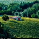 Il casolare dalla porta rossa tra i girasoli d'estate