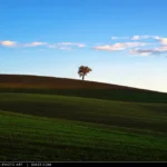 Paesaggio di collina