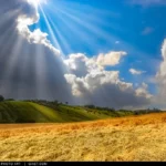 Fasci di luce solare sul campo di grano prima del temporale