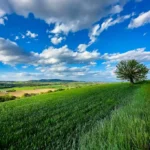 Paesaggio maceratese da sopra una collina