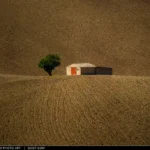 Casolare dalla rossa immerso nei colori caldi dell'autunno sullo sfondo di una collina