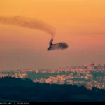 Un stormo di uccelli si staglia sul cielo rosso del tramonto sopra Macerata