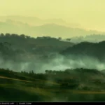 Paesaggio collinare marchigiano avvolto dalla nebbia, con la luce del tramonto che filtra attraverso il banco di nebbia creando un'atmosfera mistica e misteriosa.