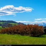 Un giardiniere al lavoro a Primavera in una aiuola dell'Abbadia di Fiastra